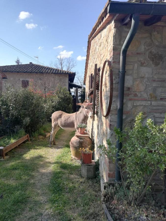 Agriturismo Grecinella กาโซเล เดลซา ภายนอก รูปภาพ