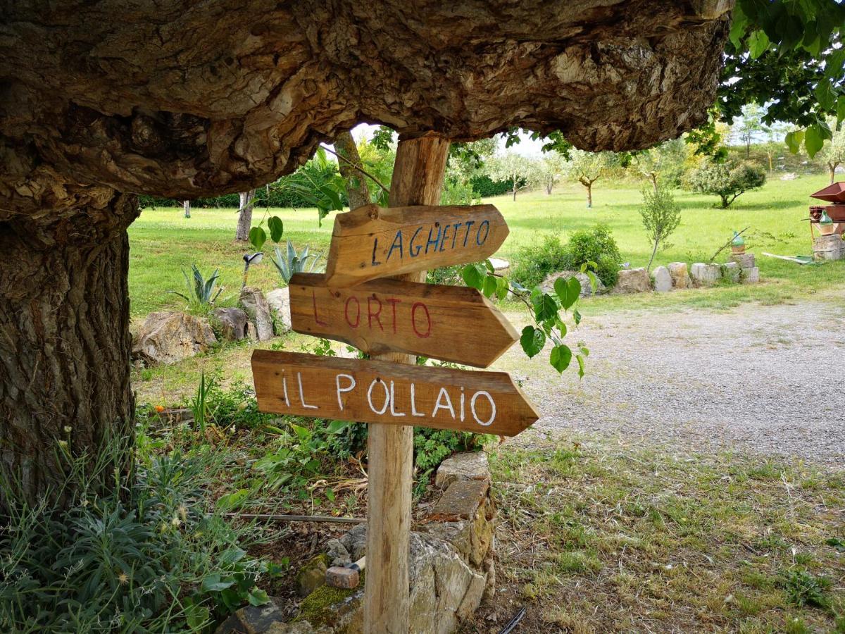 Agriturismo Grecinella กาโซเล เดลซา ภายนอก รูปภาพ