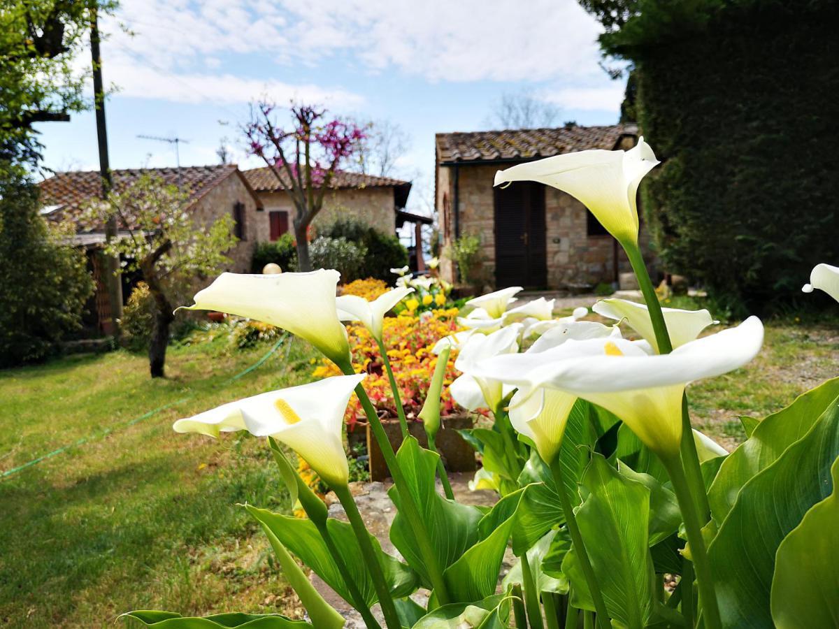 Agriturismo Grecinella กาโซเล เดลซา ภายนอก รูปภาพ